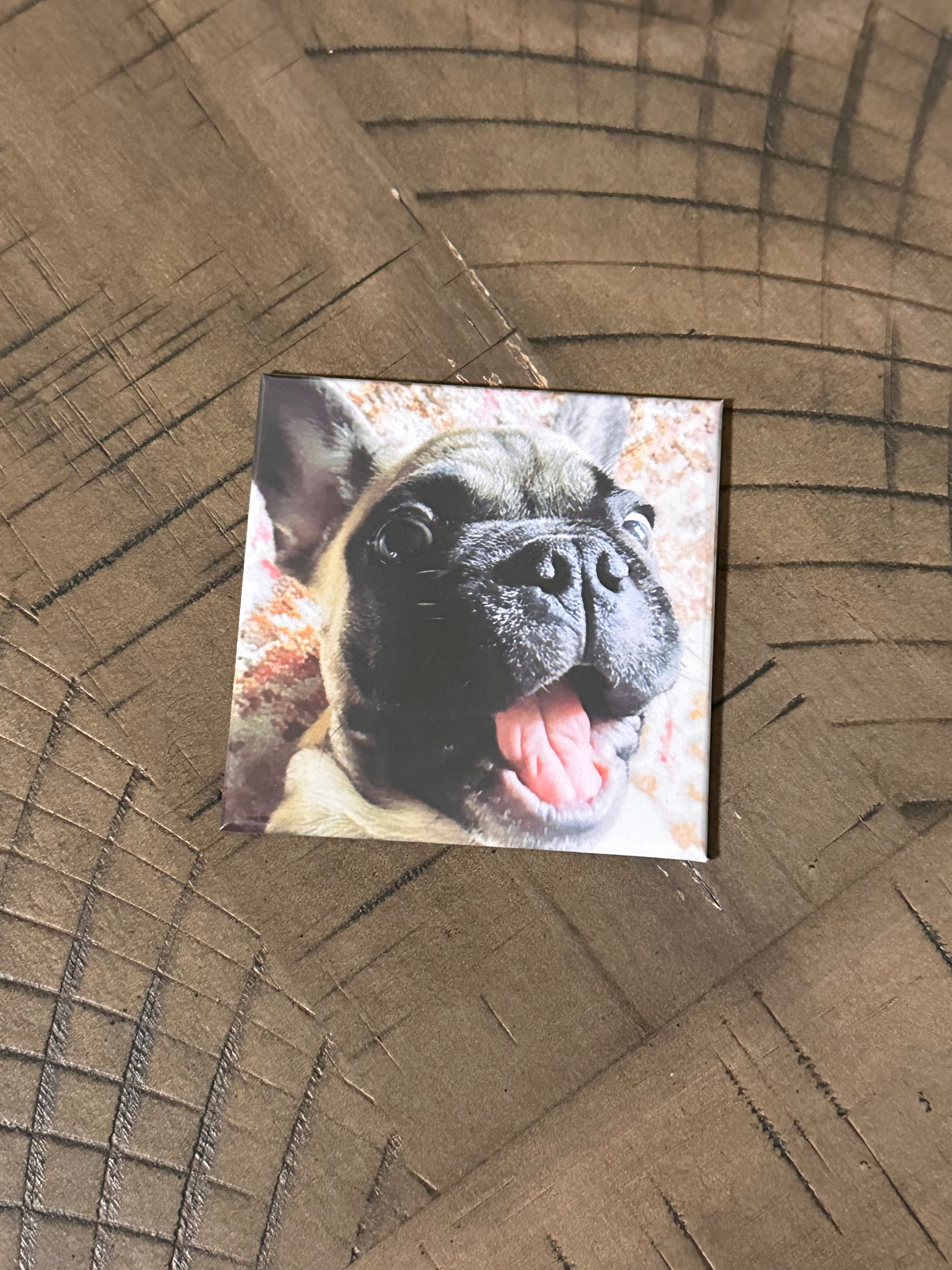 1 CUSTOM PHOTO MAGNET (2.5 x 2.5 in. square magnet)